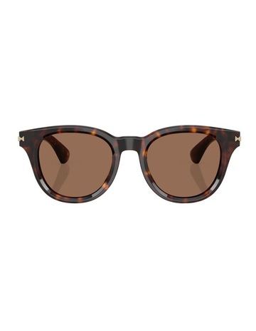 Dark Havana colour