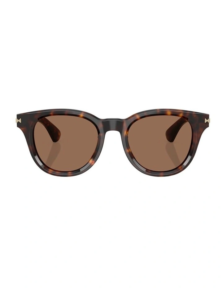 Acetate Sunglasses in Brown image 1