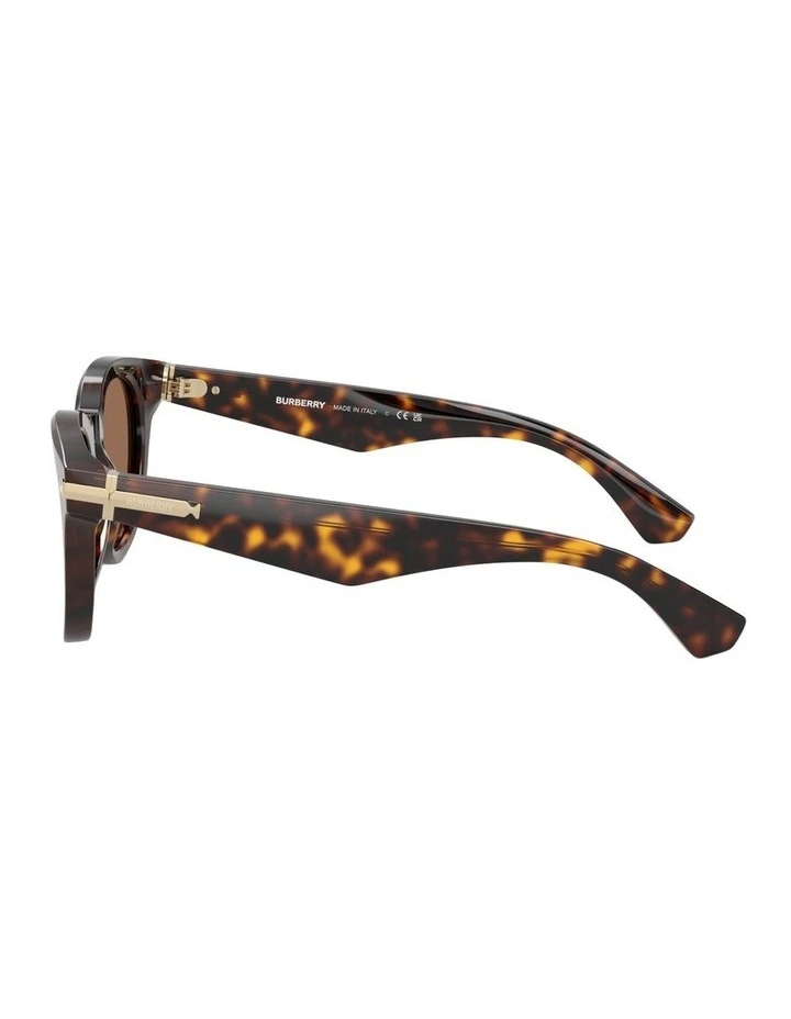 Acetate Sunglasses in Brown image 2