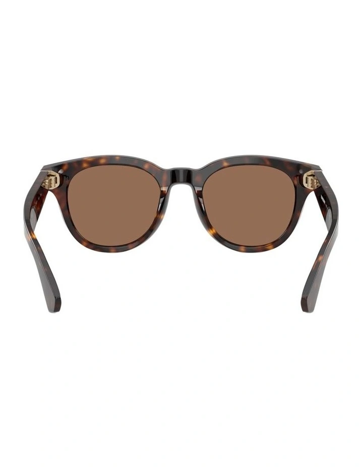 Acetate Sunglasses in Brown image 3