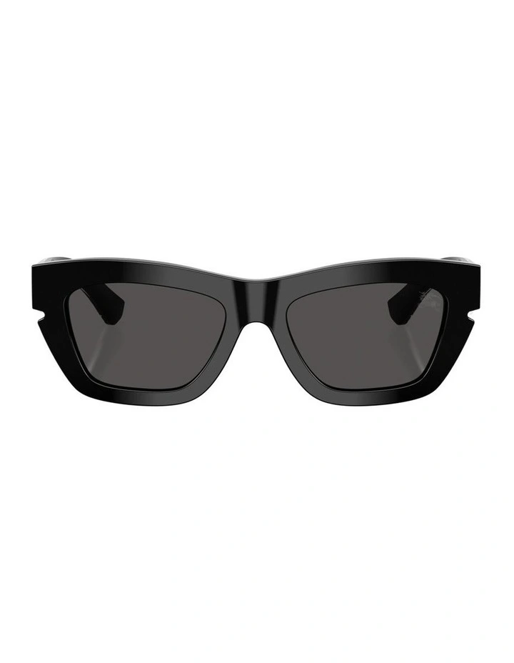 Acetate Sunglasses in Black image 1