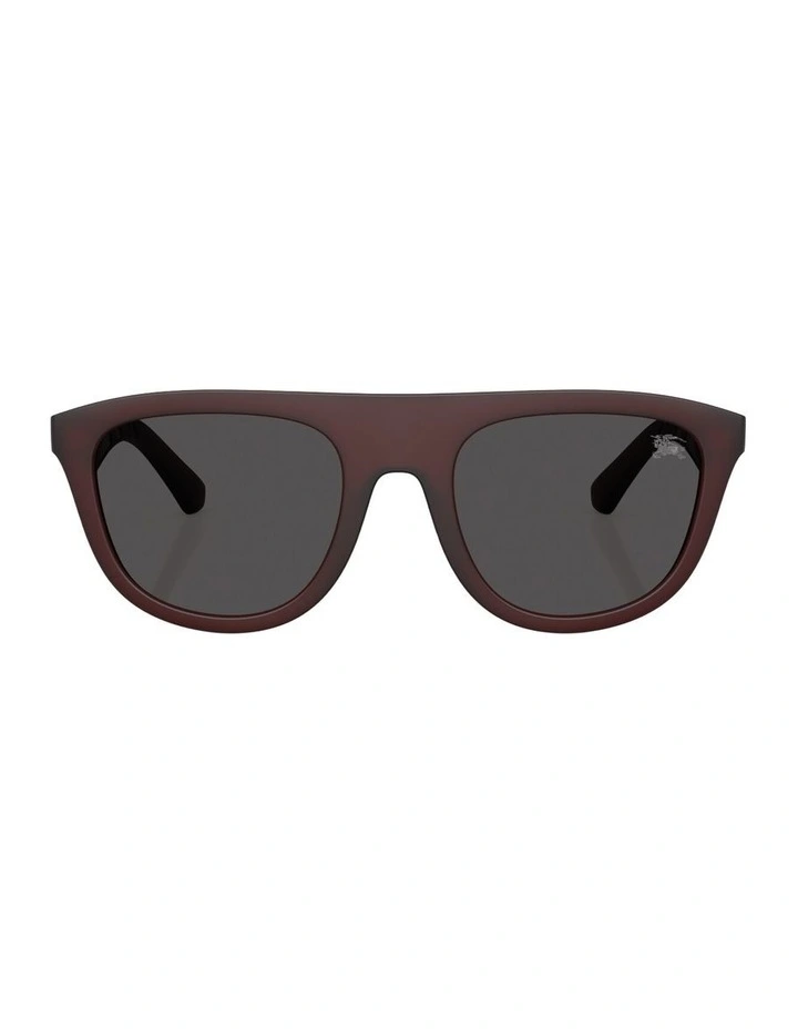 Injected Sunglasses in Red image 1