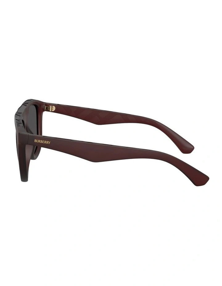 Injected Sunglasses in Red image 2