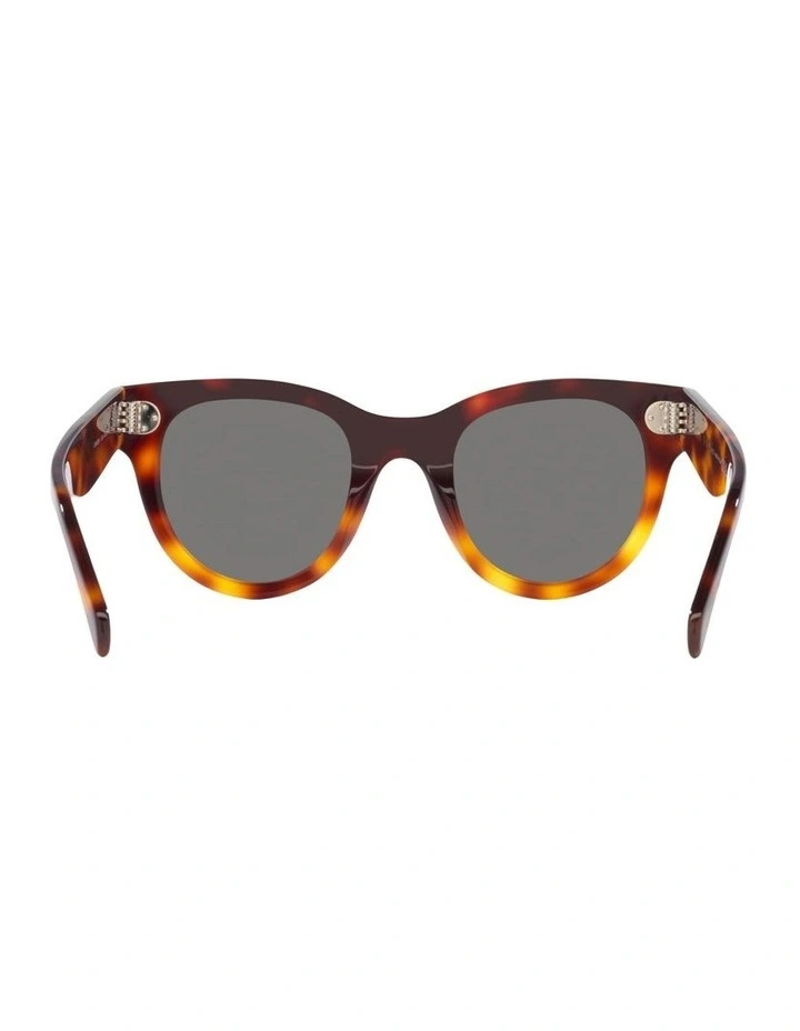 Acetate Sunglasses in Tortoise CL4003IN image 3