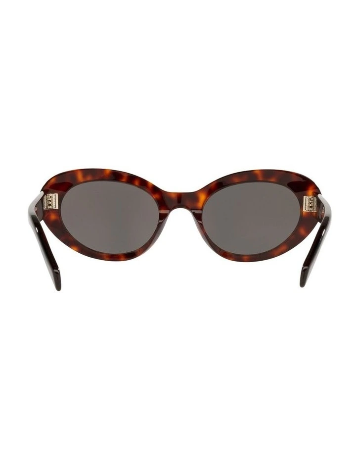 Acetate Sunglasses in Tortoise CL40193I image 2