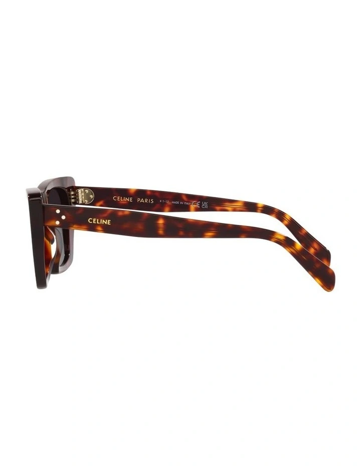 Acetate Sunglasses in Brown CL40187I image 2