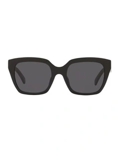 Acetate Sunglasses in Black CL40198F