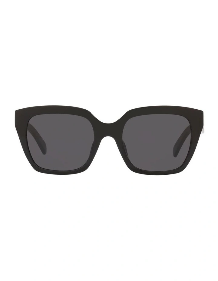 Acetate Sunglasses in Black CL40198F image 1