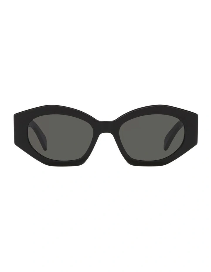 Acetate Sunglasses in Black CL40238U image 1