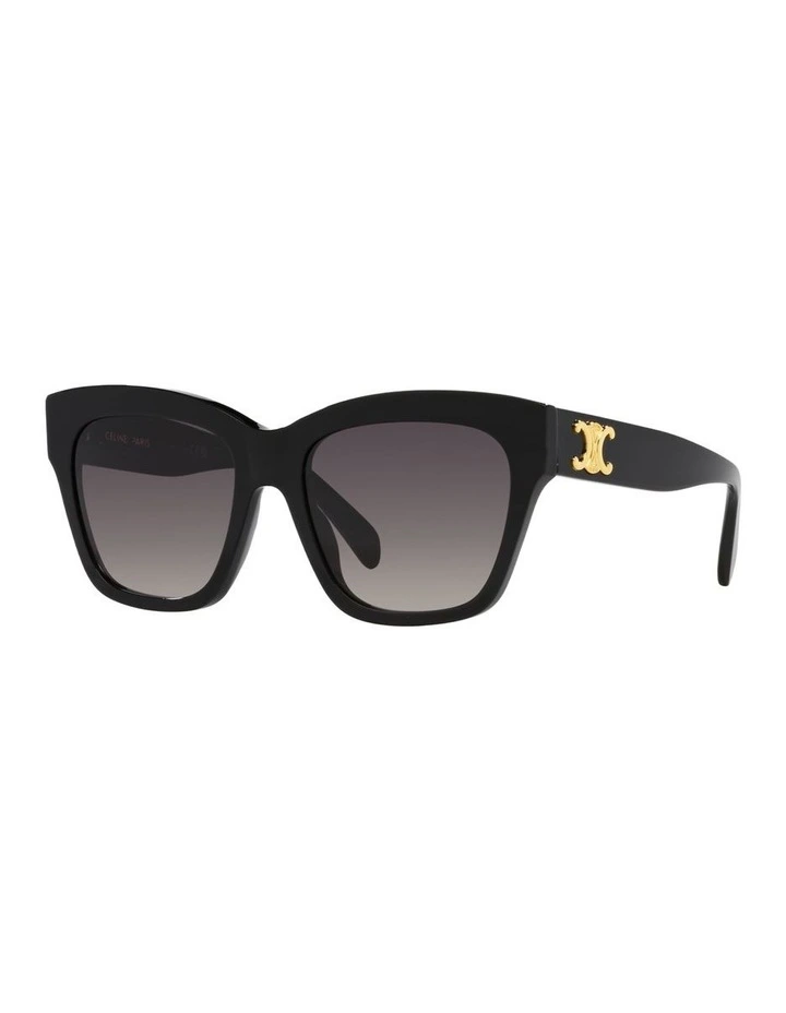 Triomphe Acetate Sunglasses in Black image 1
