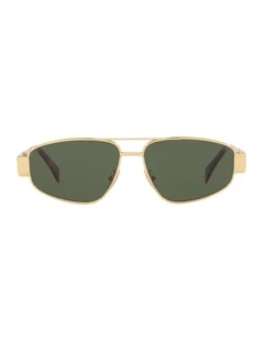 Triomphe Metal Sunglasses in Gold CL40281U