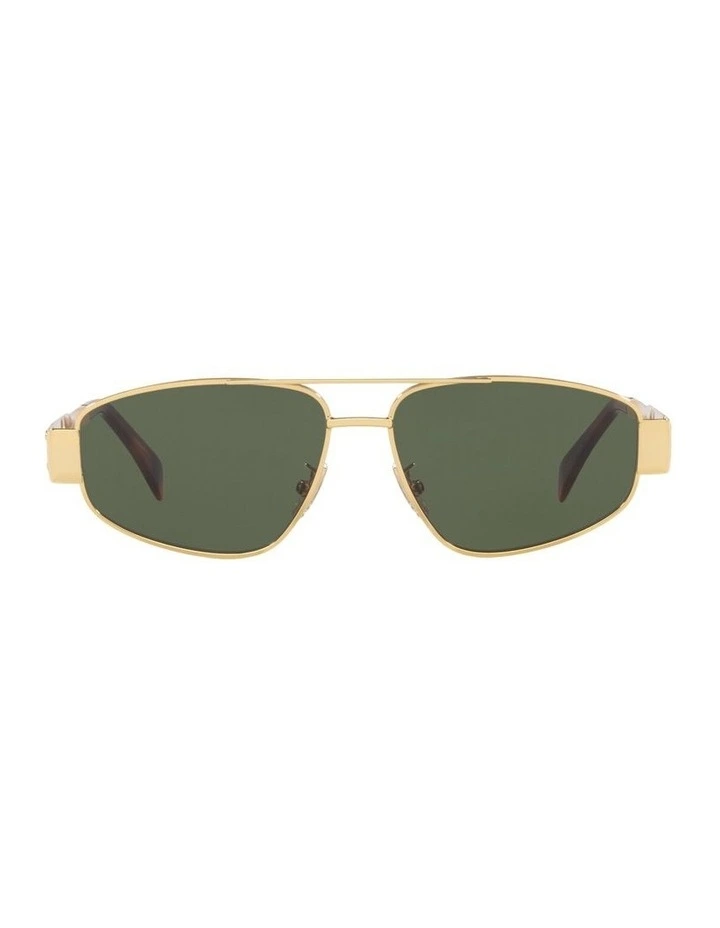 Triomphe Metal Sunglasses in Gold CL40281U image 1
