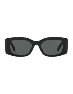 Triomphe Acetate Sunglasses in Black CL40282U
