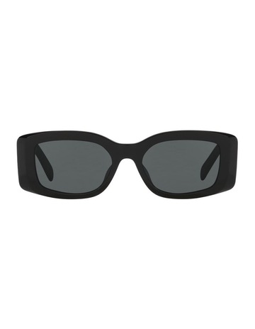 Black Shiny colour