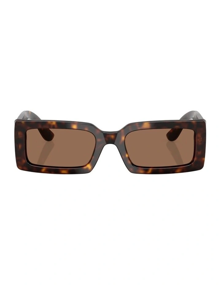 Acetate Sunglasses in Tortoise image 1