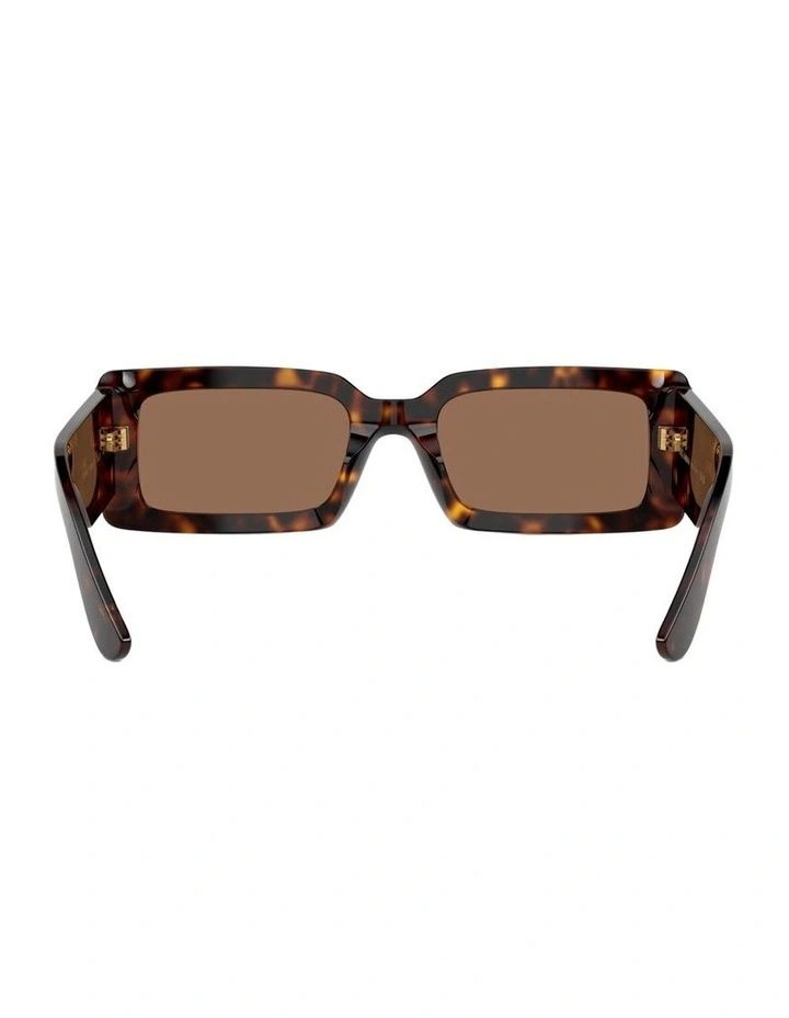 Acetate Sunglasses in Tortoise image 3