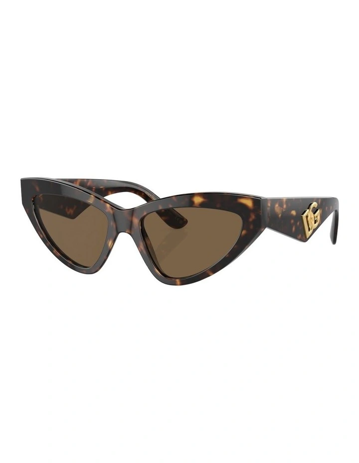 Acetate Sunglasses in Tortoise DG4439 image 1