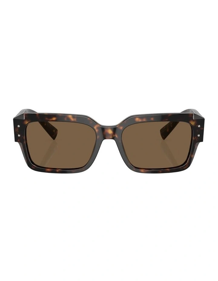 Acetate Sunglasses in Tortoise image 1