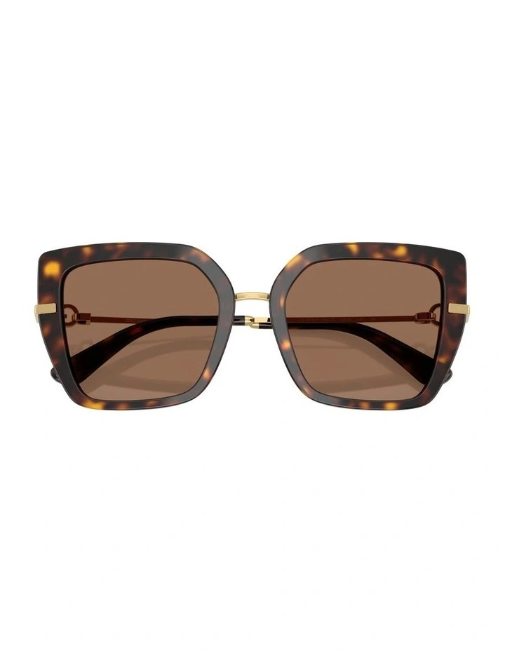 Acetate Sunglasses in Tortoise image 4