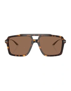 Acetate Sunglasses in Tortoise
