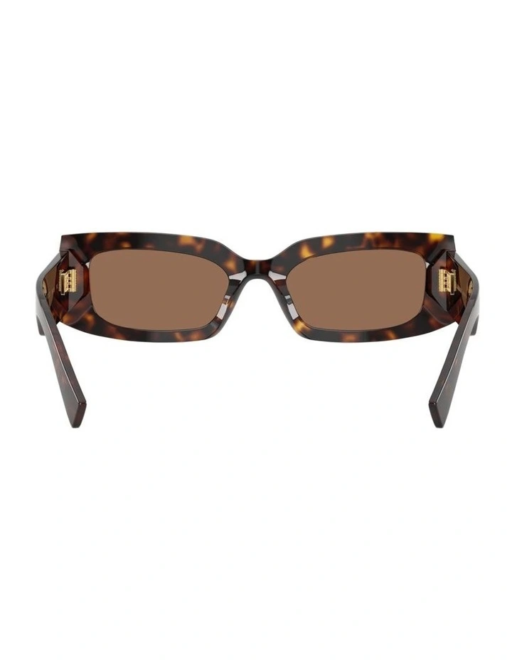 Acetate Sunglasses in Tortoise image 3