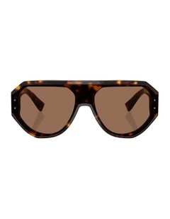Acetate Sunglasses in Tortoise