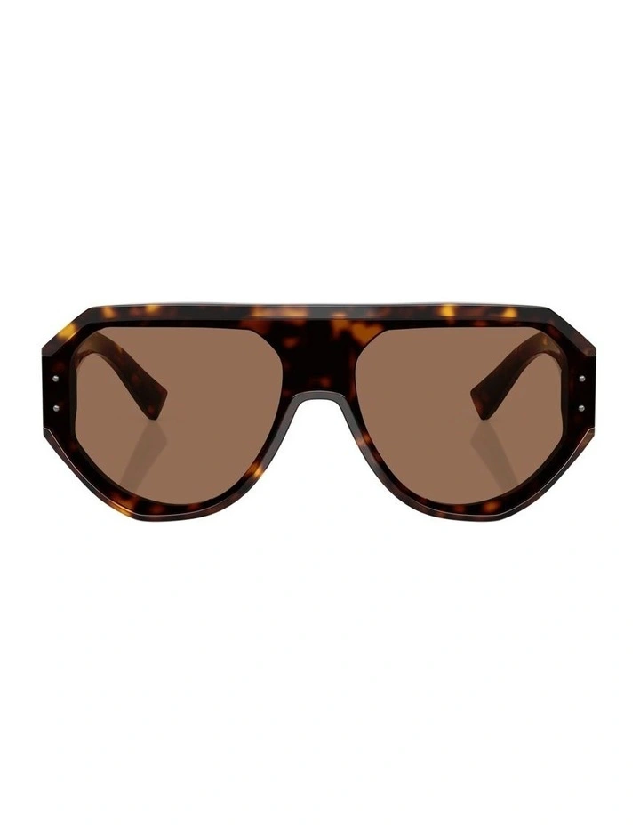 Acetate Sunglasses in Tortoise image 1