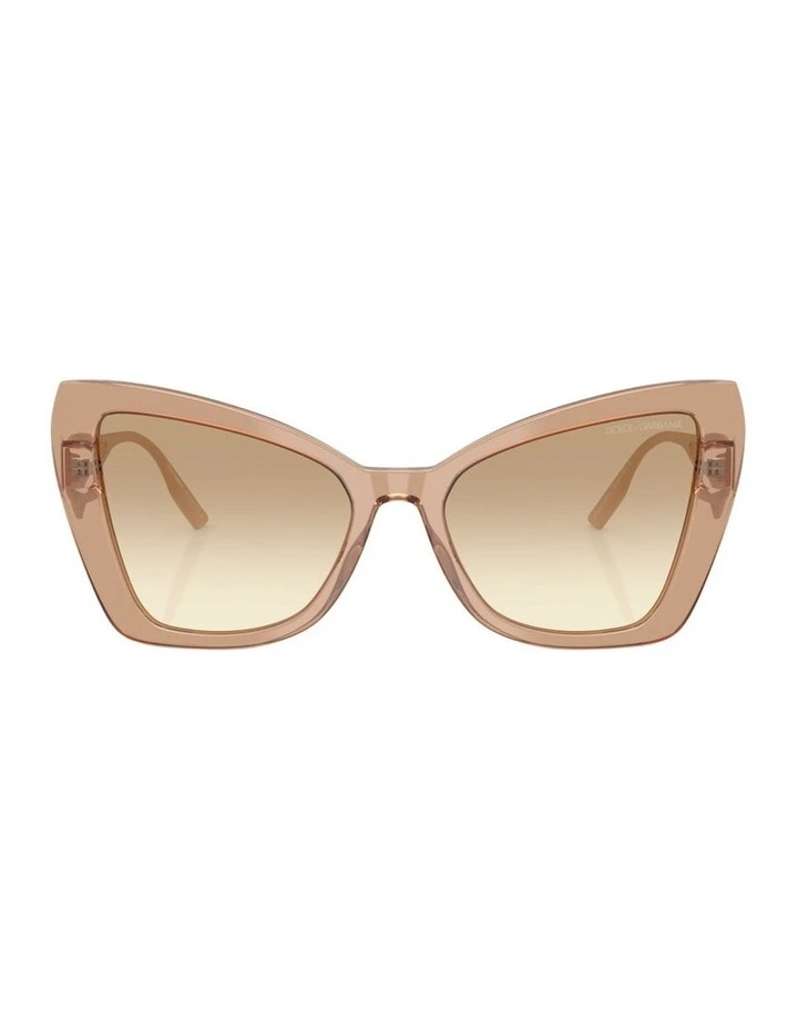 Acetate Sunglasses in Brown image 1