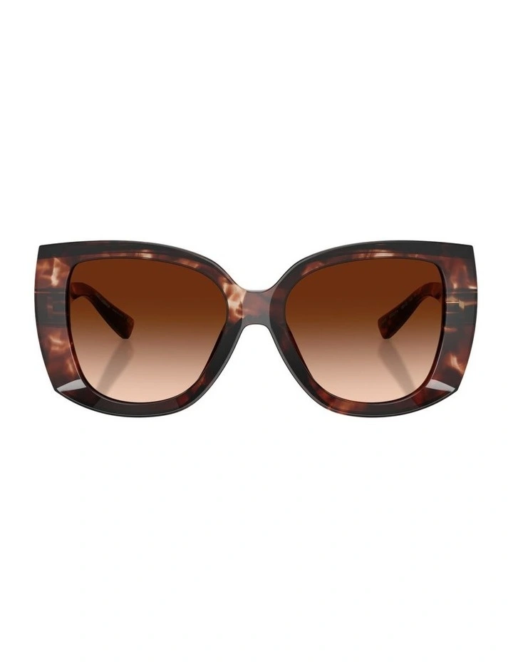 Acetate Sunglasses in Red image 1