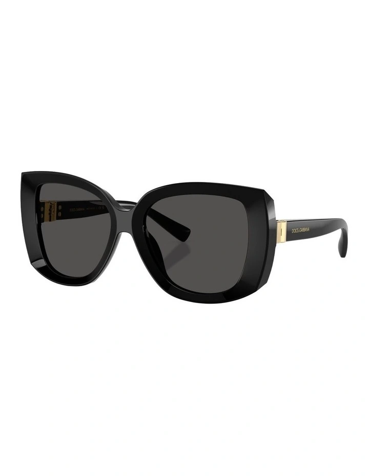 Acetate Sunglasses in Black image 1