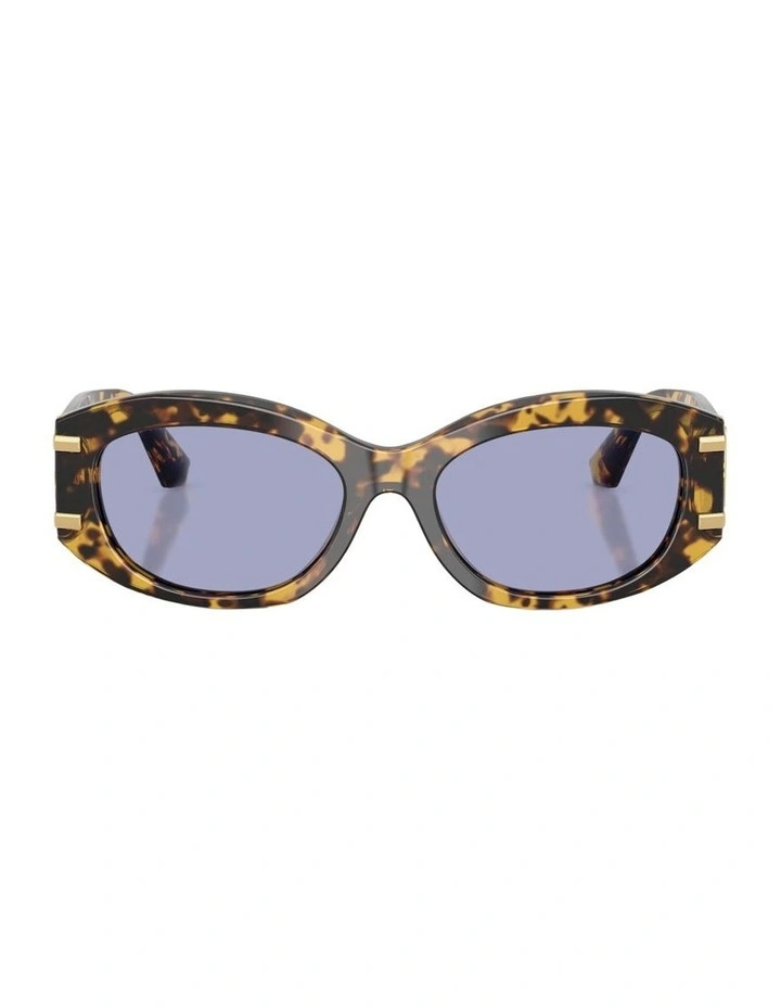 Acetate Sunglasses in Tortoise image 1