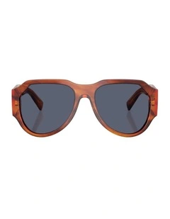 Acetate Polarised Sunglasses in Brown