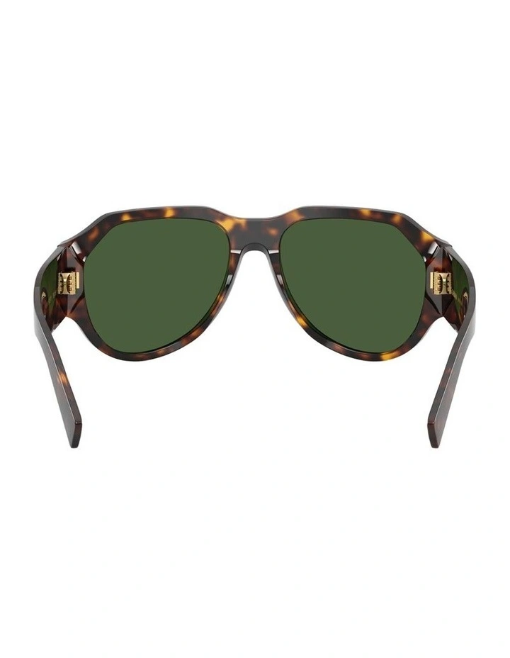 Acetate Sunglasses in Tortoise image 2