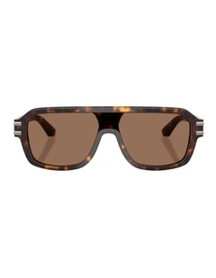 Acetate Sunglasses in Tortoise