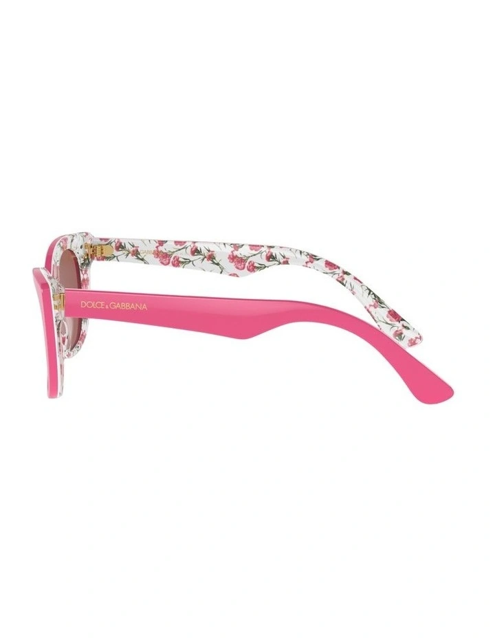 Acetate Sunglasses DX4427 in Pink image 2