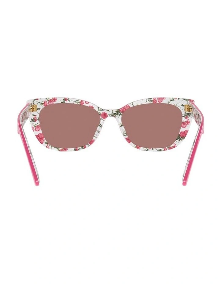 Acetate Sunglasses DX4427 in Pink image 3