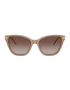 Acetate Sunglasses in Brown