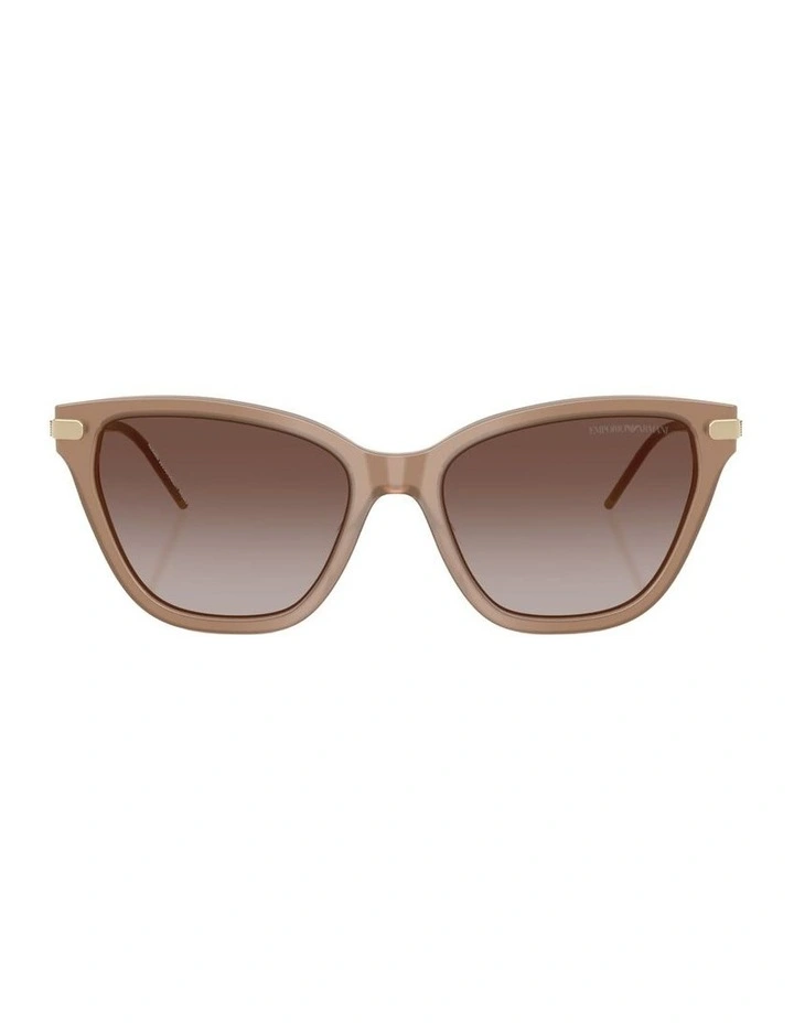 Acetate Sunglasses in Brown image 1