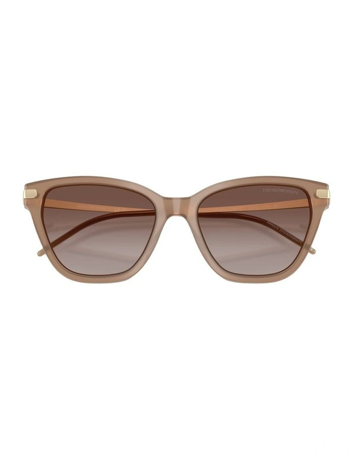 Acetate Sunglasses in Brown image 4
