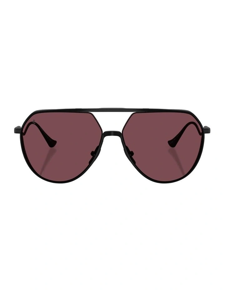 Titanium Sunglasses in Black image 2