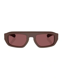 Acetate Sunglasses in Brown