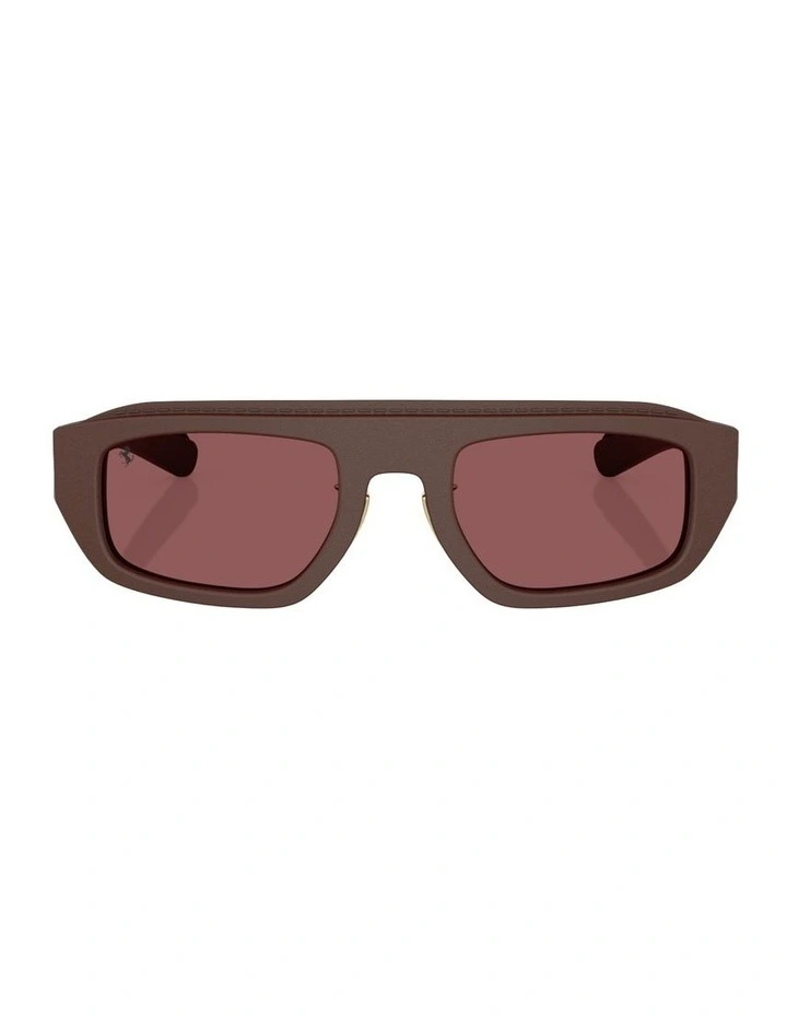 Acetate Sunglasses in Brown image 1