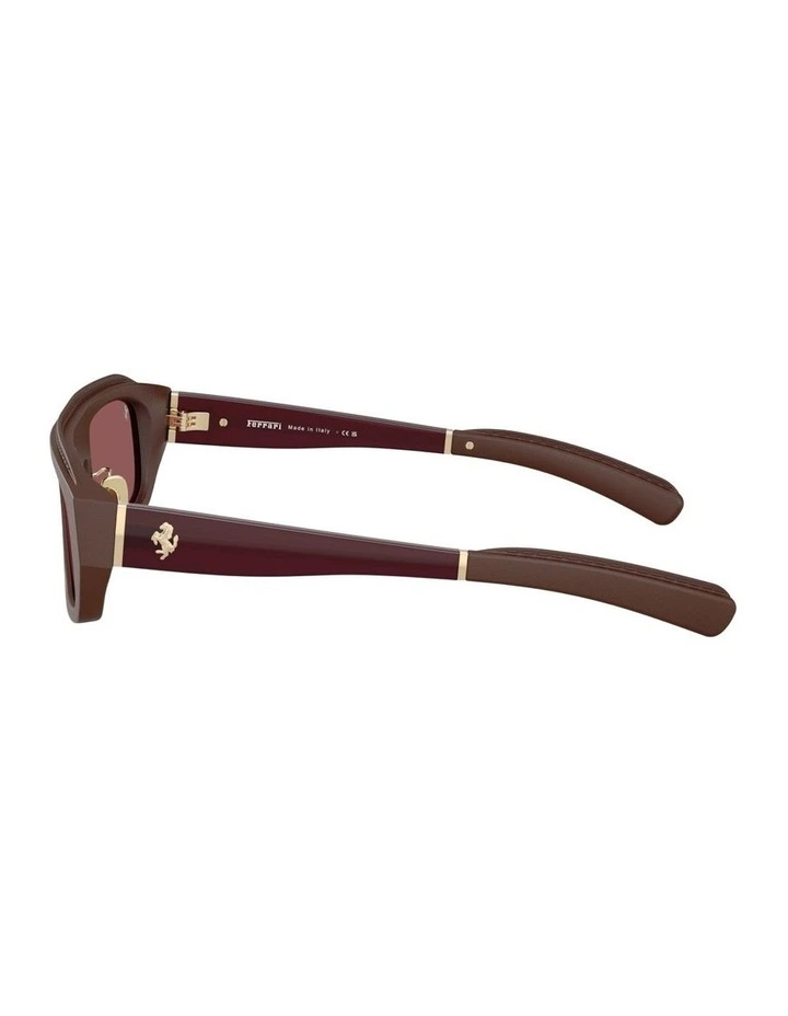Acetate Sunglasses in Brown image 2