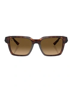 Acetate Polarised Sunglasses in Brown