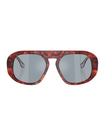 Brown Tortoise colour