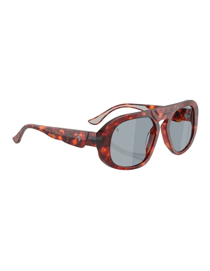 Acetate Polarized Sunglasses in Tortoise image 4
