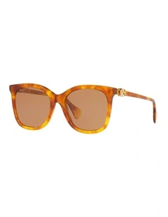 GG1071S Acetate Sunglasses in Brown