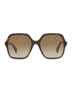 GG1072S Acetate Sunglasses in Brown