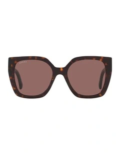 Acetate GG1300S Sunglasses in Tortoise
