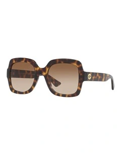Injected GG1337S Sunglasses in Tortoise